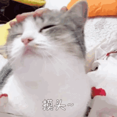 抖音新銳發布怎么參加？抖音抖加投放不了的原因解析