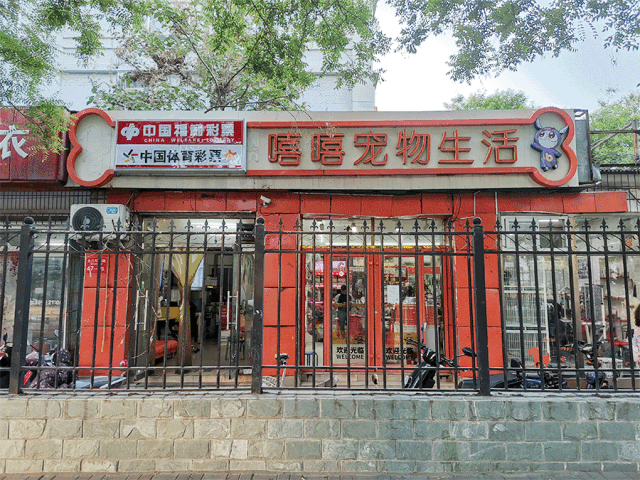 如何開個寵物店賺錢？投資寵物店的利潤分析及收入來源
