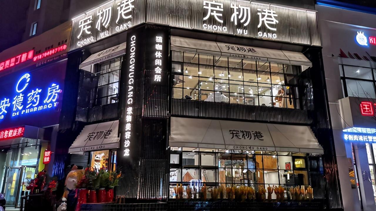 寵物店加盟大概要多少錢？寵物加盟店排行榜加盟10大品牌推薦