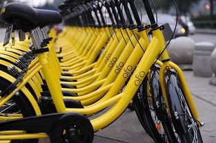 小黃車創(chuàng)始人個人簡介（小黃車ceo戴威的發(fā)展現(xiàn)狀及創(chuàng)業(yè)路程）