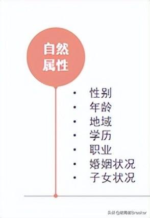 用戶畫像怎么做？不同角度詳細(xì)介紹用戶畫像的建立方法