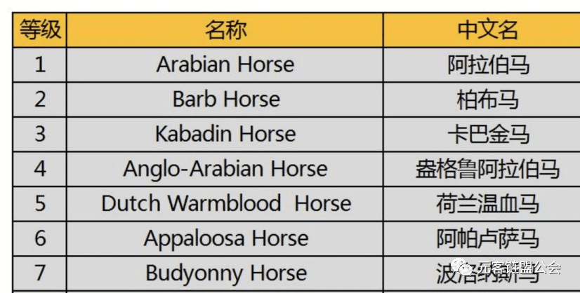 超級賽馬場游戲攻略（分享超級大馬游戲規(guī)則）