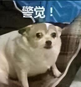 怎么關(guān)閉京東金條功能？關(guān)閉京東金條會有什么影響