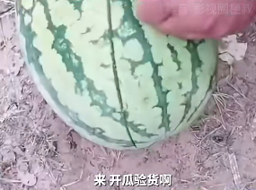 直播翻車是什么意思？直播中商品掉車是什么意思？