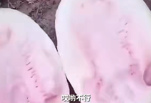 直播翻車是什么意思？直播中商品掉車是什么意思？