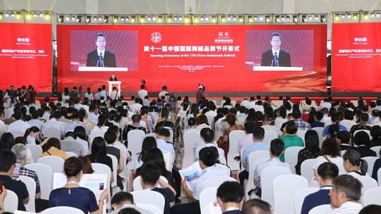 風行國際是干嘛的？風行國際公司簡介概況