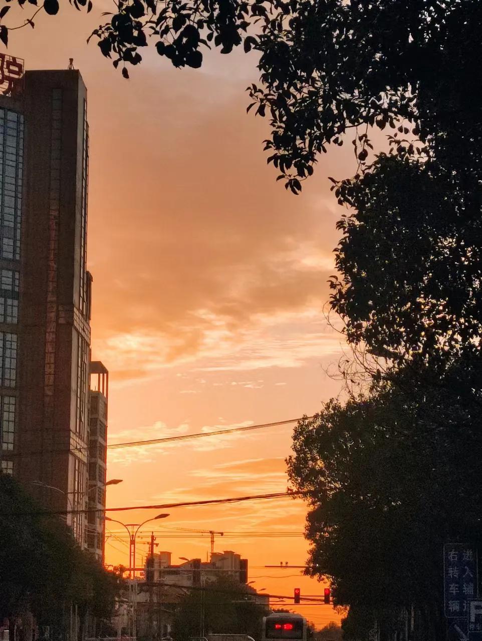 區域代理是什么意思？成為區域代理的流程及條件