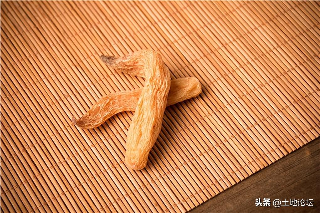 農(nóng)村種植什么藥材最賺錢？分享七種前景好的種植藥材