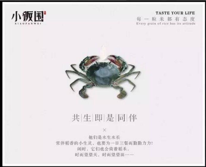 產品賣點文案怎么寫?分享產品推廣的十大賣點文案