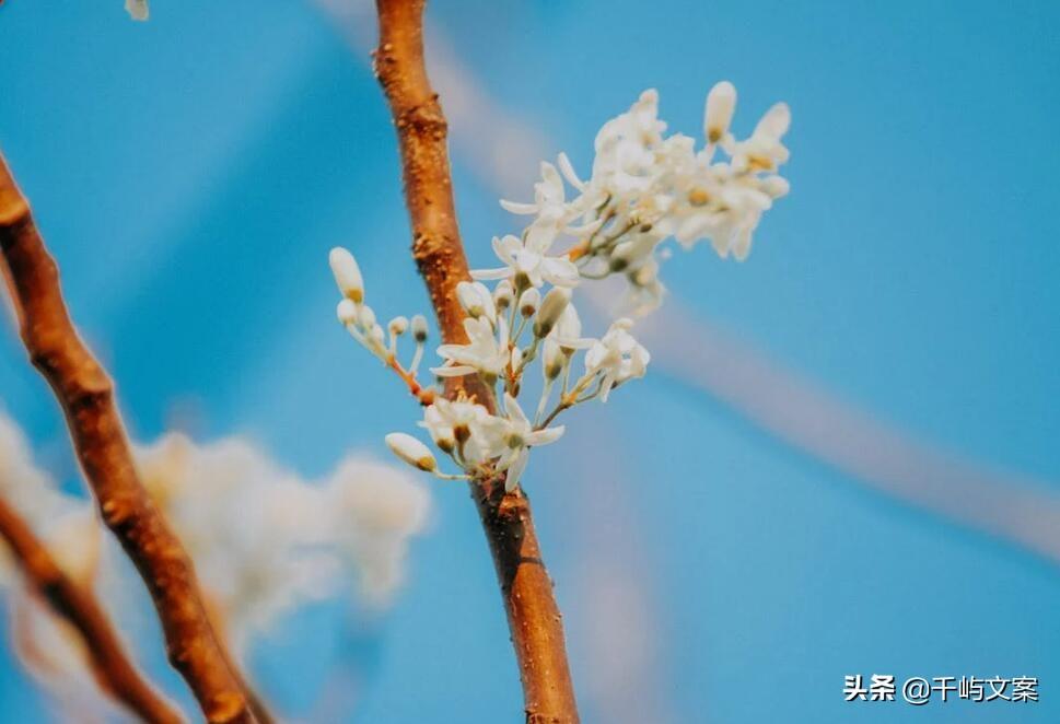 淘寶賬號名字大全（2023淘寶簡短好聽昵稱大全）