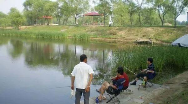 養什么賺錢利潤高？農村15個暴利養殖項目推薦