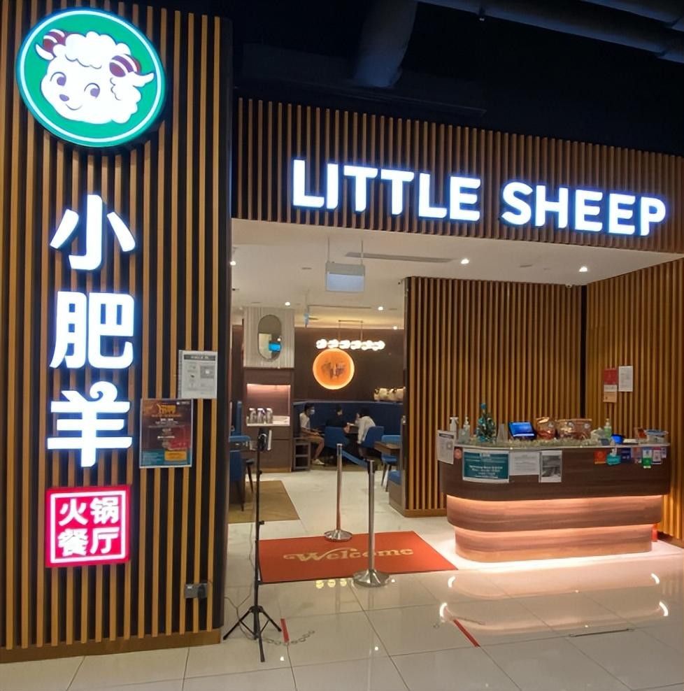 小龍坎加盟費(fèi)用及條件？火鍋店加盟品牌前十名