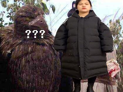 拼多多買家秀在哪看？拼多多買家秀合集入口