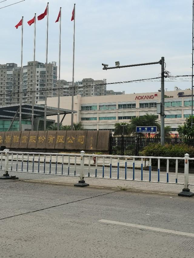 溫州女鞋品牌大全排名（溫州鞋十大品牌排行榜）