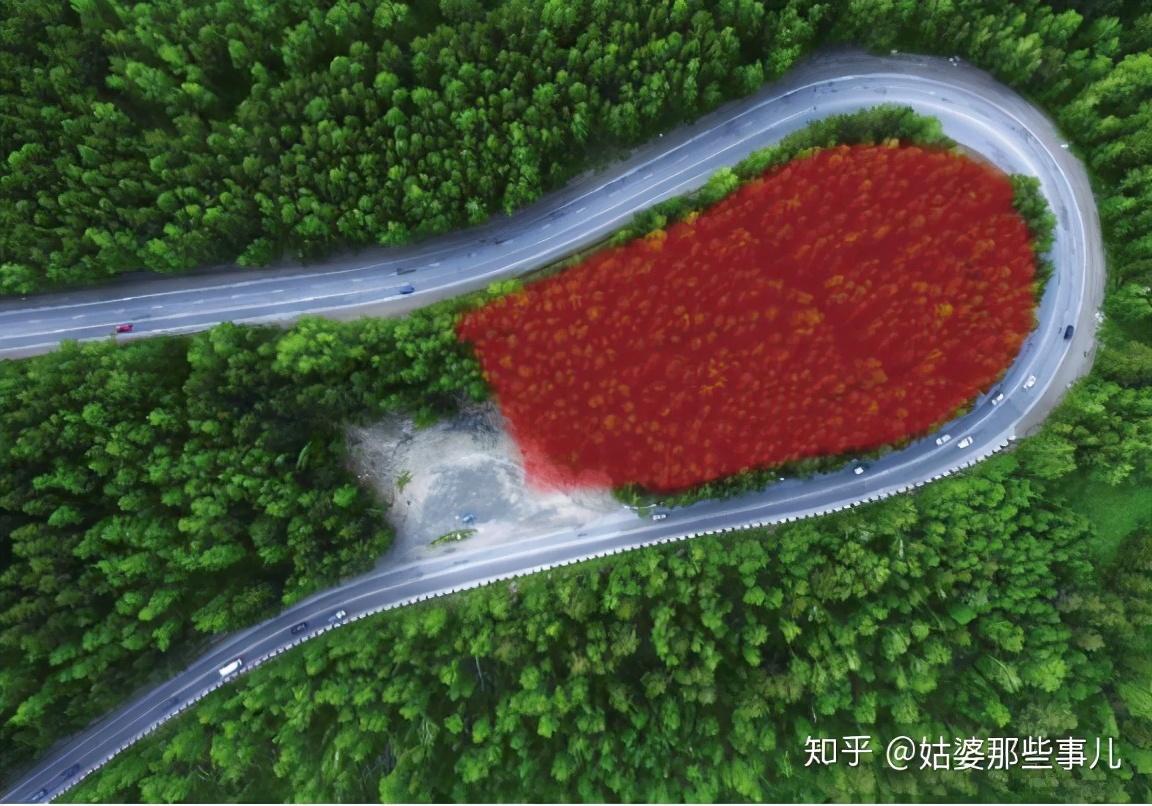 添加圖層蒙版怎么用？解析ps圖層蒙版的作用