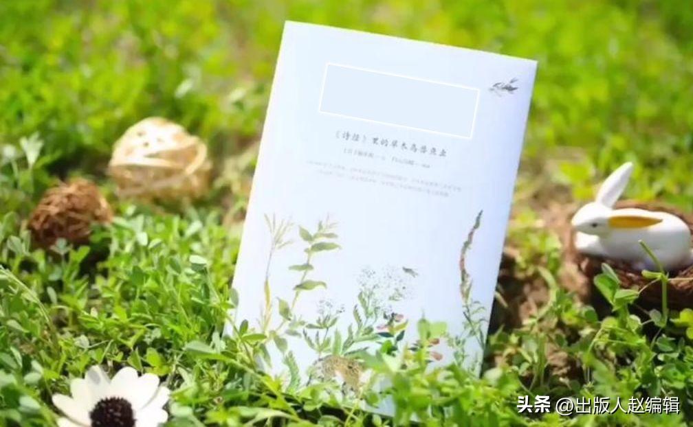 網上寫小說怎么賺錢？解析新人出書流程及費用明細表一覽