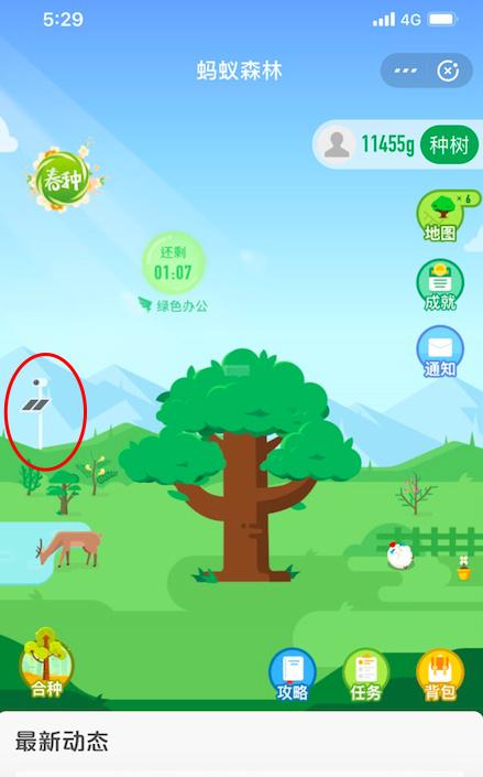 螞蟻種樹怎么看自己種的樹？螞蟻森林種樹流程及規則