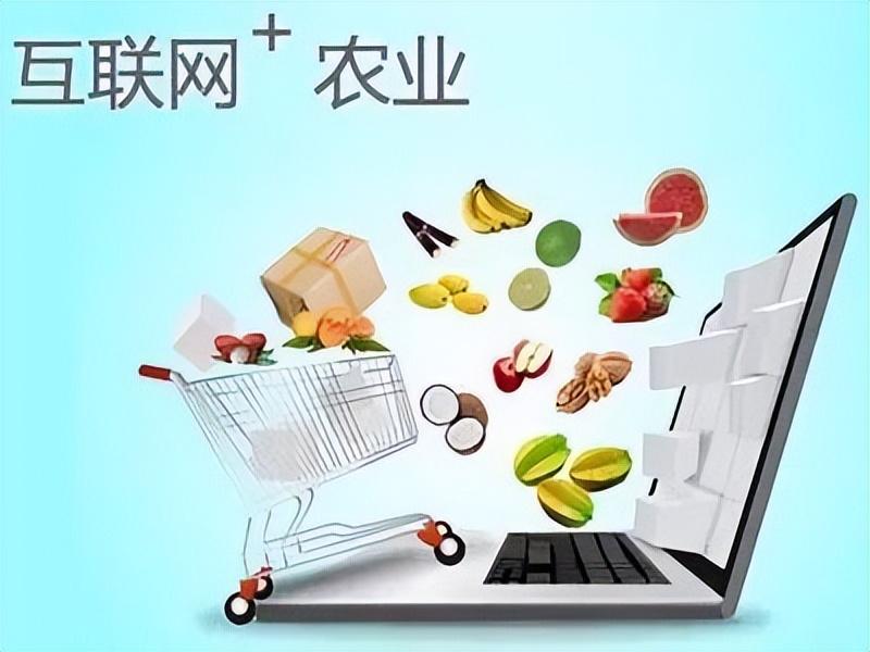 十大農(nóng)產(chǎn)品電商平臺有哪些？國內(nèi)十大農(nóng)產(chǎn)品電商平臺排行榜