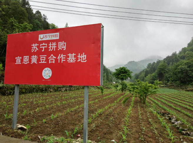 蘇寧拼購的運(yùn)營特點(diǎn)有哪些？分享蘇寧易購店鋪運(yùn)營的十大技巧
