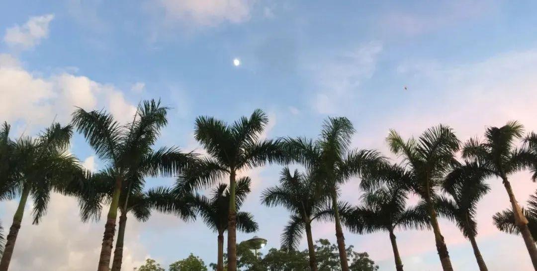女生快速掙錢的方法？適合女生快速賺錢的三種行業