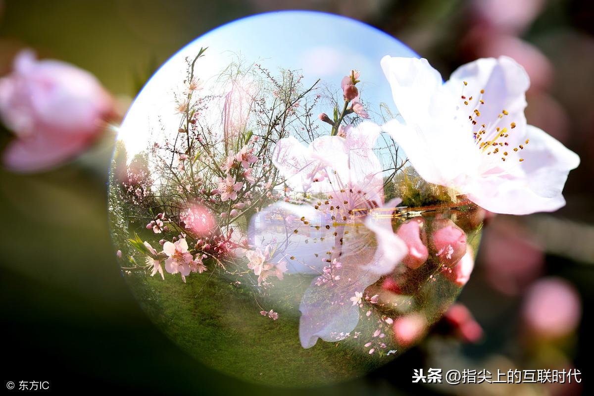 淘寶美工是什么工作？淘寶天貓開店流程及費用