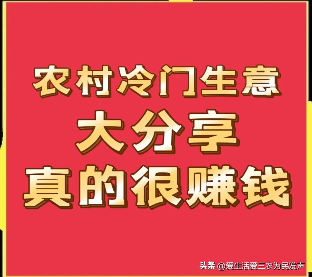 縣城冷門暴利生意有哪些？農村十大冷門暴利生意排行榜