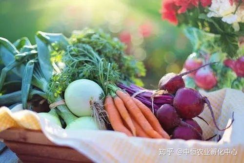 農產品供應鏈模式有哪些？農產品供應鏈方案模板大全