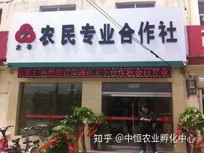農產品供應鏈模式有哪些？農產品供應鏈方案模板大全