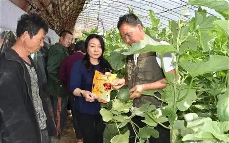 個人創業投資小項目有哪些注意事項？小本創業項目排名前十推薦