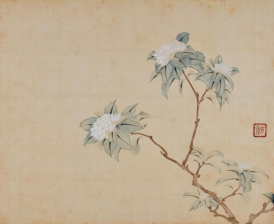 淘寶拍賣(mài)網(wǎng)平臺(tái)（淘寶拍賣(mài)公司注冊(cè)流程介紹）