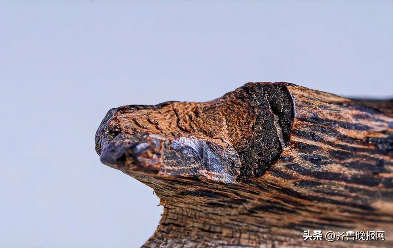 支持專柜驗貨是什么意思?專柜驗貨和app驗貨的區別
