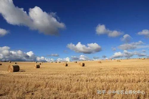 農產品供應鏈模式有哪些？農產品供應鏈方案模板大全