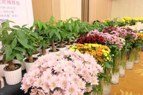 花集網(wǎng)登錄（花集網(wǎng)接單流程及方式）