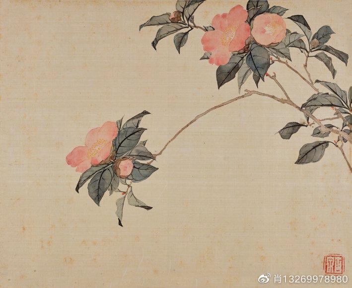 淘寶拍賣(mài)網(wǎng)平臺(tái)（淘寶拍賣(mài)公司注冊(cè)流程介紹）