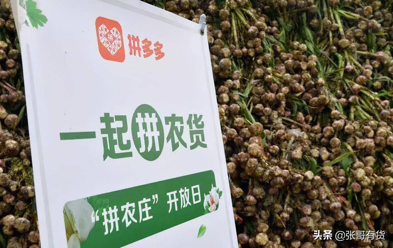 電商案例（拼多多營銷成功案例分析）