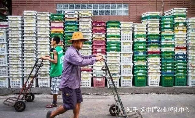 農產品供應鏈模式有哪些？農產品供應鏈方案模板大全