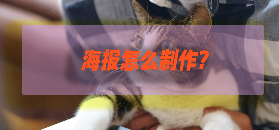 海報是什么意思？店鋪宣傳海報制作詳細(xì)教程
