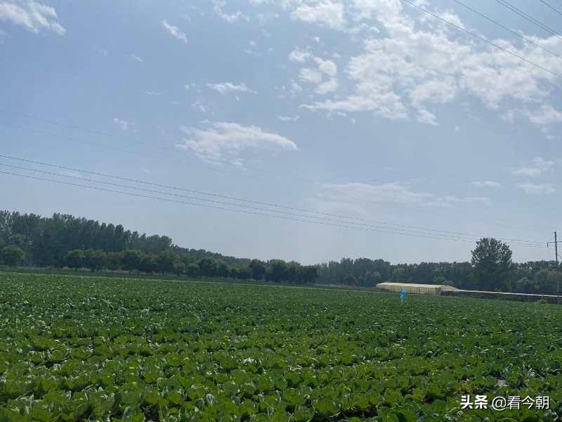 沱沱工社是干什么的?平谷沱沱工社簡介