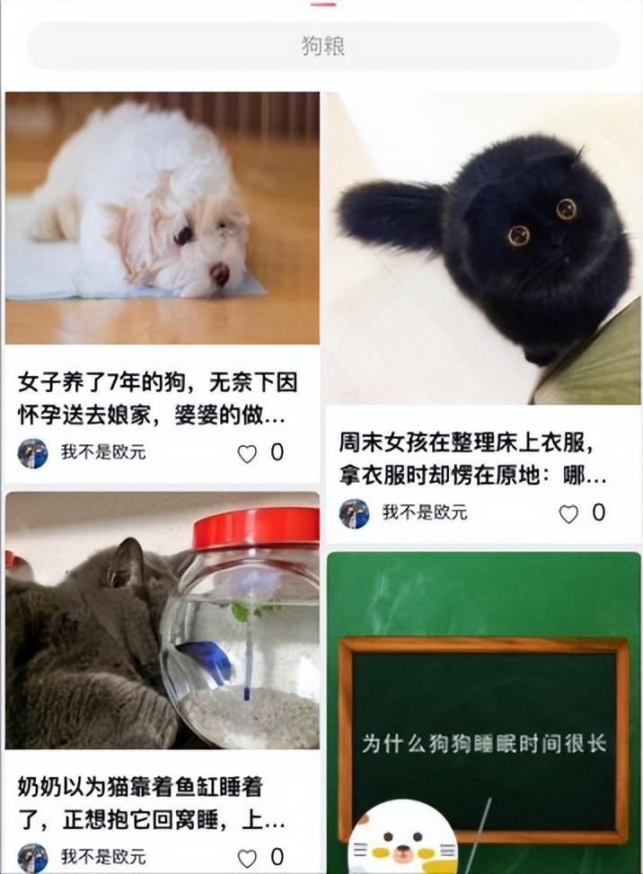寵物平臺有哪些？線上寵物交易平臺排行榜前十