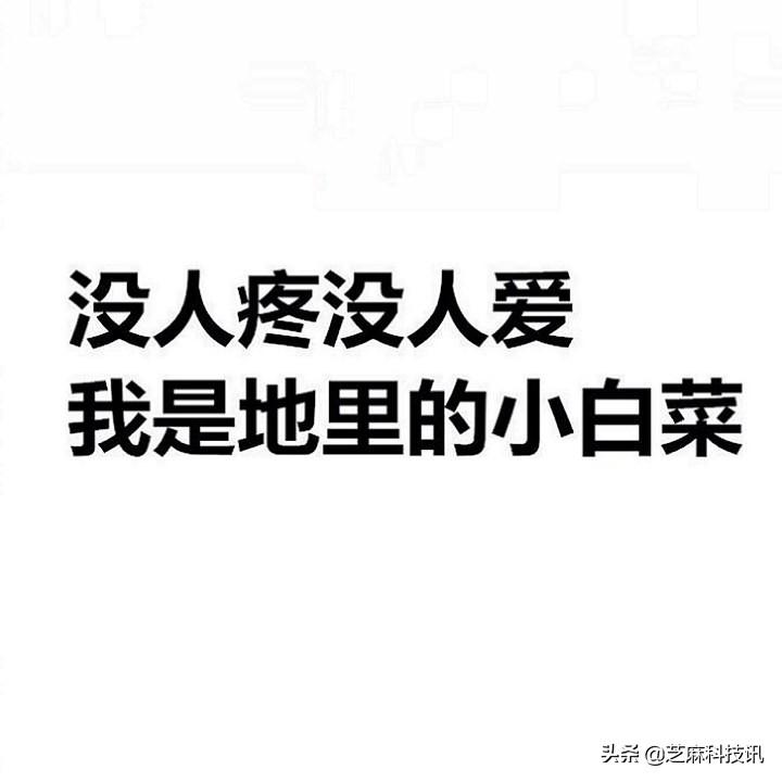 微信封面尺寸比例是多少？朋友圈封面尺寸設置教程