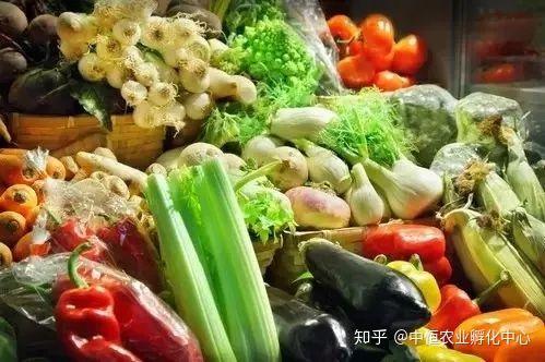 農產品供應鏈模式有哪些？農產品供應鏈方案模板大全