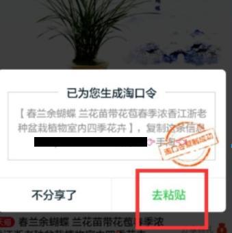 淘口令是什么意思？解析淘寶淘口令分享的作用