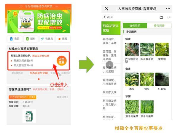 大豐收農資商城app（大豐收農資賬號官網簡介）
