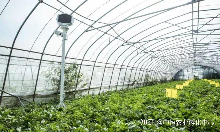 農產品供應鏈模式有哪些？農產品供應鏈方案模板大全