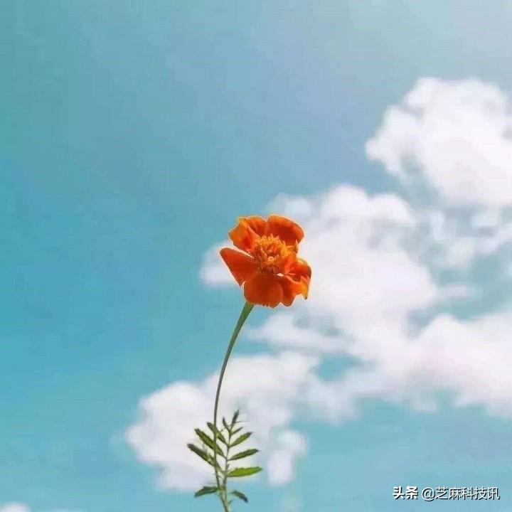 微信封面尺寸比例是多少？朋友圈封面尺寸設置教程