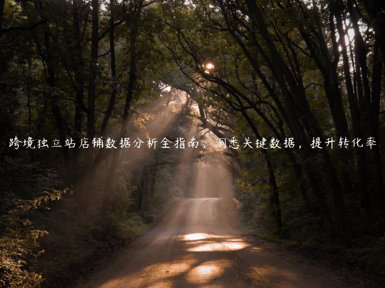 跨境獨(dú)立站店鋪數(shù)據(jù)分析全指南，洞悉關(guān)鍵數(shù)據(jù)，提升轉(zhuǎn)化率