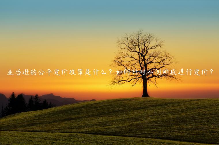 亞馬遜的公平定價政策是什么？如何針對不同階段進行定價？