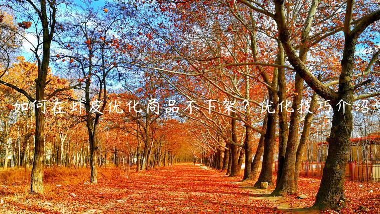 如何在蝦皮優(yōu)化商品不下架？優(yōu)化技巧介紹