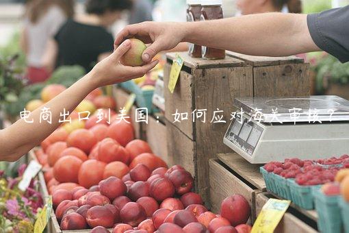 電商出口到美國：如何應對海關審核？