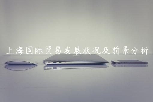 上海國際貿易發展狀況及前景分析